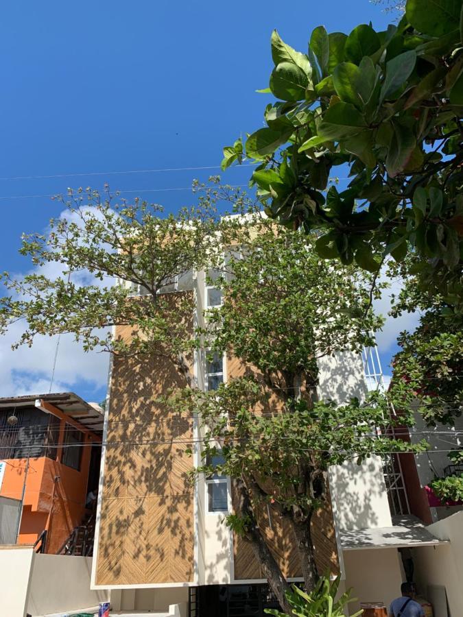 Oostel Smart Hostel - Tulum Pueblo (Adults Only) Exterior photo